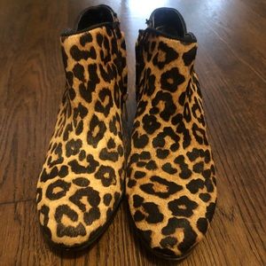 Sam Edelman Shoes - Sam Edelman Women Petty Bootie - cheetah Sam Edelman Shoes - Sam Edelman Women Petty Bootie - cheetah